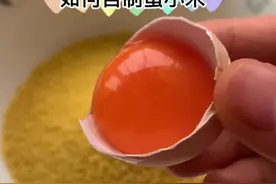 #虎皮鹦鹉 繁殖期给大鸟必备的蛋小米，超简单的制作方法（自制的不方便保存喔）懒人就直接买成品吧