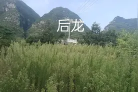 癸山丁向，左水倒右出坤方，丁坤终是万福箱，发富发贵，人丁大旺视频封面