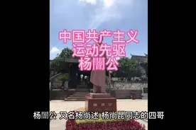中国共产主义运动先驱，大革命运动的主要领导人，杨闇#人物故事视频封面