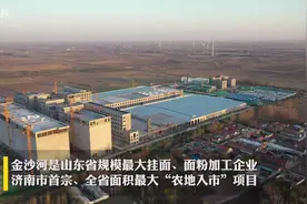 山东省规模最大挂面、面粉加工厂商河金沙河将于明年3月投产