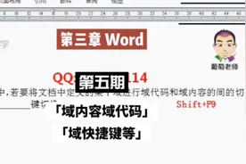 Word答疑解惑：005域内容域代码快捷键等#山东专升本#成功上岸视频封面