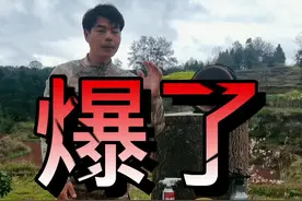 传统土养的人工分蜂方法第二种来了，这样操作您的蜜蜂一桶变两桶#诱蜂 #养蜂 #农业农村 @抖音短视频 视频封面