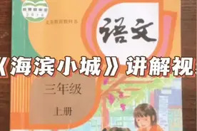 三上语文《海滨小城》课文讲解3-9年级语数外同步更新视频封面