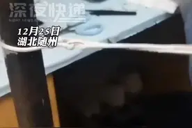 12月25日，湖北随州。鞋带和美妆蛋撑起的“手术”。临床专业学生就地取材练实操。网友：虽然但是，我有点不敢生病了 #医学生 #考试 #大学 @叫声越姐就给糖。🌈 视频封面