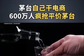 当酒界大佬自己干电商会怎么样？直接600万人疯抢平价茅台！#茅台#酒#生意经#商业思维 #电商视频封面