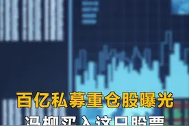 百亿私募重仓股曝光，冯柳买入这只股票#私募#基金#股票视频封面