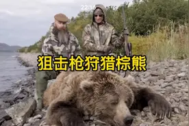 狙击枪远距离狩猎棕熊，威力真的大#国外合法狩猎 #棕熊  #户外视频封面