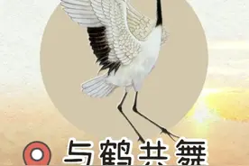 你们可能去过#临沂动植物园 ，但是你们一定不知道仙鹤会模仿人跳舞，29.9的快乐视频封面