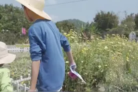 孩子的粤语学习能力有多强？十二妹薛乐儿子学说粤语#粤语 @环市东十二妹 @奶爸乐哥视频封面