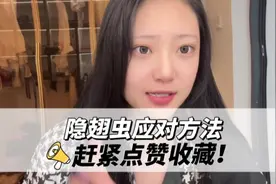 大家都在催的隐翅虫防治攻略，它来了！#隐翅虫