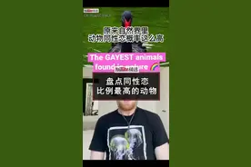 原来动物界也有同性恋，其中比例最多的，灰雁有15%是“男同”、同时37%是双性恋；而黑背信天翁更是有31%都是“女同”#动物 #涨知识 #趣闻 