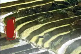 荒田荒地冇人耕，若系耕种有人争#梅州客家人 #抖音小助手 #热门视频封面