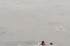 重庆北碚嘉陵江边，母子双双落水，救援过程惊心动魄，救援结果让人暖心！#政媒原创作者联盟视频封面
