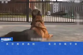 以心换心，日复一日，终于沈鹏和沈虎成了一辈子的好兄弟！#我就是三亿分之一 @抖音短视频视频封面