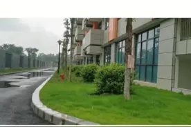 成都锦城北湖小学（成华区实验小学分校区），孩子新学期报道了视频封面