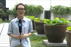 浙里办⑤：“人才码”在手 服务优惠全有视频封面