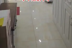 #石家庄 #石家庄房产 #好房推荐 终于不用再躺平了石家庄要出共有产权房了，买房的机会到了视频封面