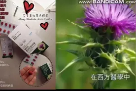 艾多美红景天奶蓟草片-九大肝脏保护功效，醒酒草本，护肝良方