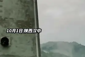 这么不见外看来是常客呀！#金丝猴被村民热情招待，斯斯文文的坐在地上剥花生吃 #金丝猴 #陕西dou知道视频封面
