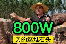 疯狂的石头！800w买来这批石头，表面看起来破破烂烂，可是切开后的画面意境，让人难以置信！#奇石视频封面