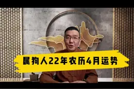 属狗人22年农历4月运势#国学智慧 #十二生肖 #传统文化视频封面