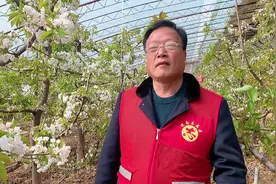 【渭南科普】樱桃树的春季管理视频封面