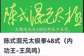 陈式混元太极拳48式  王凤鸣老师演示