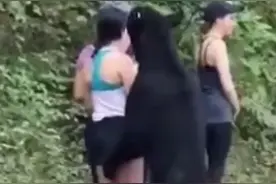 3名女子户外遭遇黑熊机智应对 最终脱险视频封面