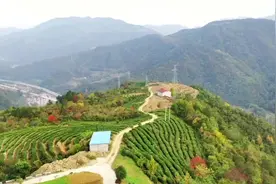 美丽的世界，壮观的郑万铁路，我从你南漳段拆迁开始视频封面
