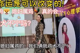 我属狗🐶 媳妇属鸡🐔 真的会“鸡犬不宁”吗？#婚姻 #心情 #离婚视频封面