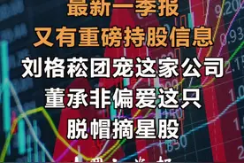 最新一季报，又有重磅持股信息！刘格菘“团宠”这家公司，董承非偏爱这只“脱帽摘星股” #基金#财经#投资#一季报视频封面