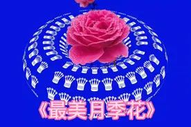 《最美月季花》  上联：春风夏雨秋月冬雪，一年四季视频封面