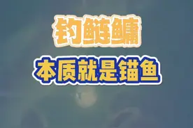 #鲢鳙 钓鲢鳙本质就是锚鱼。鲢鳙不会主动对饵团着发力吸，只能通过大量打窝聚鱼拼概率锚。能锚中上巴，下巴就是技术。视频封面