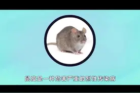 北京 2 #肺鼠疫病例 确诊，关于“鼠疫”你需要知道这些！视频封面