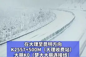 G56杭瑞高速公路楚雄辖区天申堂路段受低温降雪天气影响，道路结冰，已不具备通行条件。大理往昆明方向道路进行封闭，实施#交通管制 。#路况信息 #交通安全 @DOU+小助手视频封面