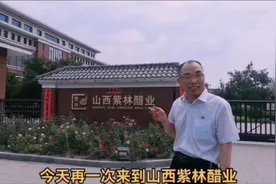 “老冯看山西”再次走进山西紫林醋业股份公司～@抖音小助手视频封面
