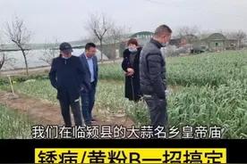 大蒜三遍药这样打，锈病/软腐/根腐/叶枯/疫bing/营养增产一次搞定，轻松多收500斤鲜蒜#三农 #农业技术 #大蒜种植 视频封面