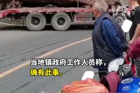 据极目新闻4日消息，四川乐山一地挖出疑似乌木，镇政府：已移交县政府，将按照正规程序研究后处置。视频封面