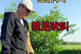 训练狗狗禁足吠叫。#训犬 #训犬师 #工作犬 #东德牧羊犬 #训狗 #训狗教程视频封面