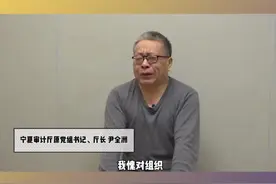 1月25日，宁夏审计厅原厅长受贿、挪用公款案一审宣判#法报一线 #打虎拍蝇视频封面