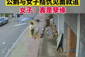8月29日吉林长春，女子因之前当面拿过鹅蛋与公鹅结仇，每次一见面就追咬！视频封面