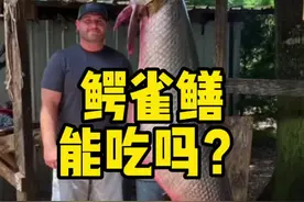 入侵物种的鳄雀鳝有毒？那么到底能不能吃呢？ #鳄雀鳝 #钓鱼 #美食视频封面