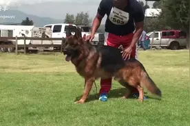 阿瑞.胡恩戈拉普视频封面