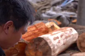 #彝三彩 彝族漆器制作技艺#非遗传承 #手艺人视频封面