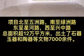 玉架山遗址博物馆效果图来啦！#我在这里告白祖国 #博物馆#城市规划 #地标建筑视频封面