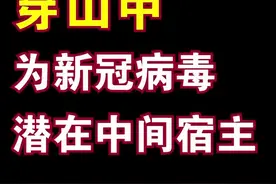 #抗击疫情南粤有我 #新冠肺炎 中间宿主找到了！但是想说的是，动物无罪，贩卖和吃野味的人该抓起来😠