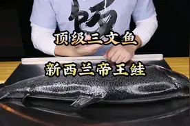 #这个视频有点料  这是世界上最顶级的三文鱼—新西兰帝王鲑视频封面