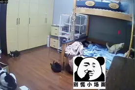 在我身上撒了半分钟的尿，我居然一直没感觉，耍手机误事啊🤣视频封面