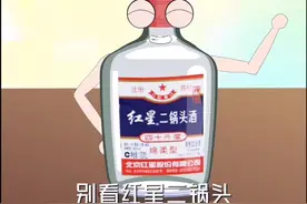 #白酒#二锅头 （下）布鲁塞尔国际烈酒大赛金奖得主-红星二锅头，酒界奥斯卡的三次王者#我叫喝不醉 @抖音短视频视频封面