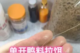 #钓鱼 鸭料钓罗非很便宜实用，但不好开饵，用这个方法也能开出状态完美的拉饵视频封面